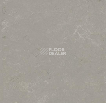 Кварцвиниловые полы Forbo Marmoleum Modular t3718 Pluto фото 1 | FLOORDEALER